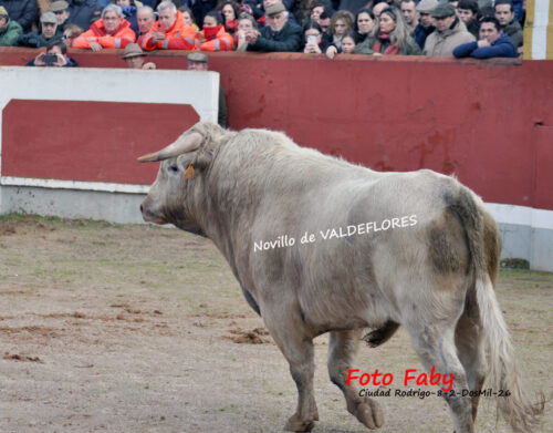 (44) PRESENTACION