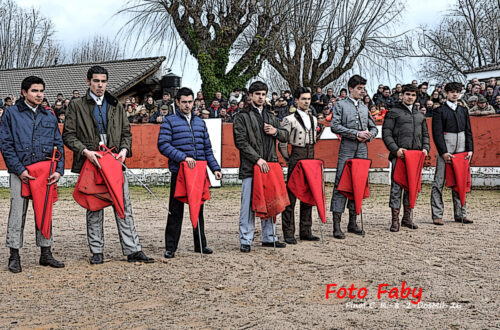 (5) PRESENTACIÓN