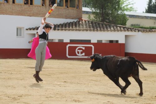 BANDERILLAS