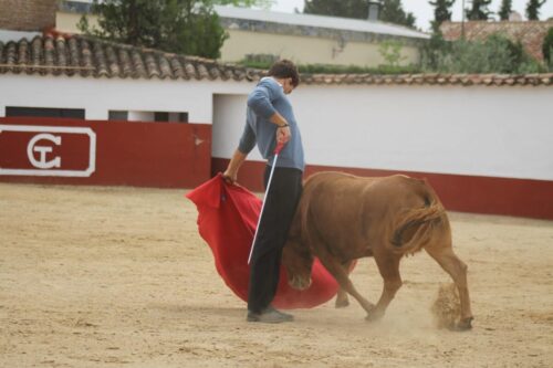 BELMONTE