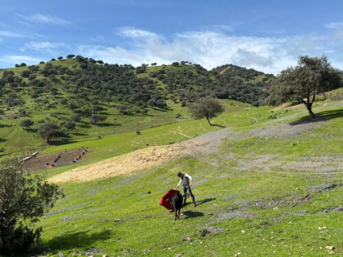 CAMPO ABIERTO