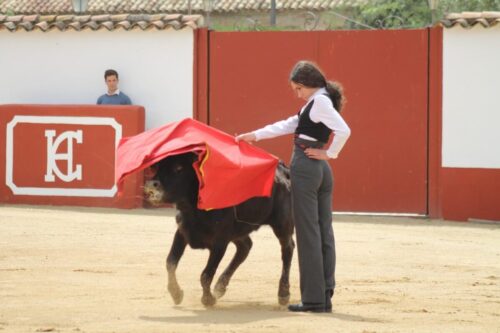 CARMEN POR ALTO