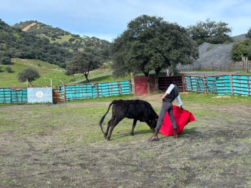 DERECHAZ