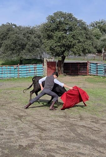 FLEXION