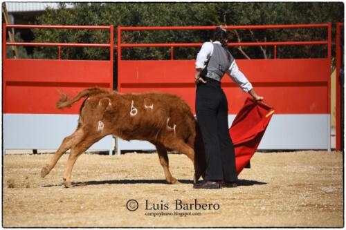 Gabriela Mayor Toros Guerrero Luis Barbero (21)