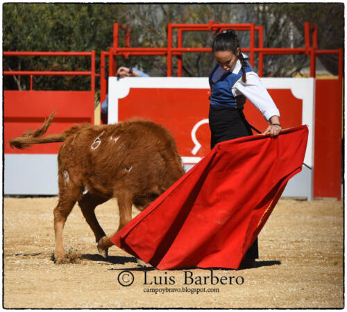 Gabriela Mayor Toros Guerrero Luis Barbero (22)