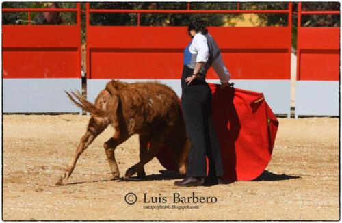 Gabriela Mayor Toros Guerrero Luis Barbero (23)