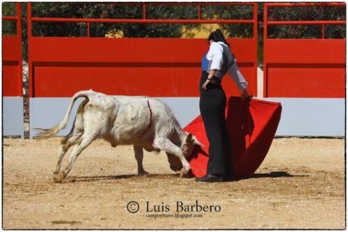 Gabriela Mayor Toros Guerrero Luis Barbero (27)