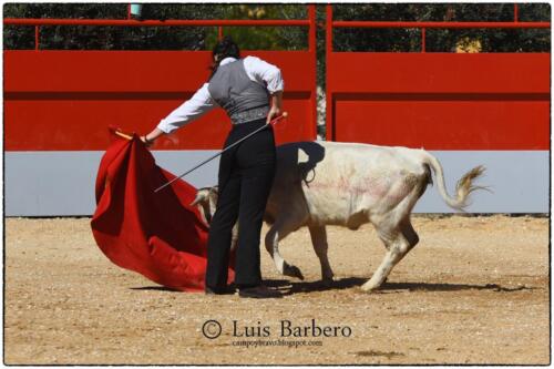 Gabriela Mayor Toros Guerrero Luis Barbero (28)