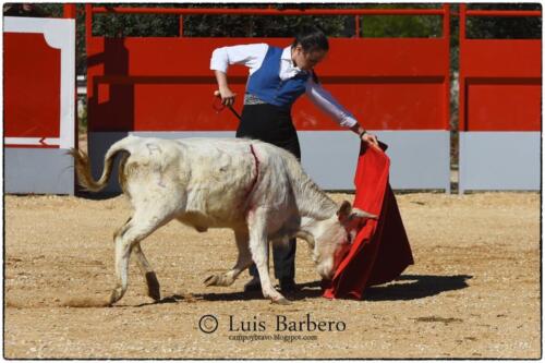 Gabriela Mayor Toros Guerrero Luis Barbero (29)