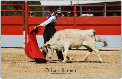 Gabriela Mayor Toros Guerrero Luis Barbero (30)