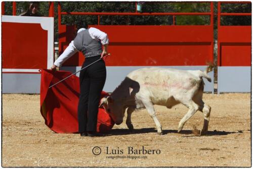 Gabriela Mayor Toros Guerrero Luis Barbero (31)