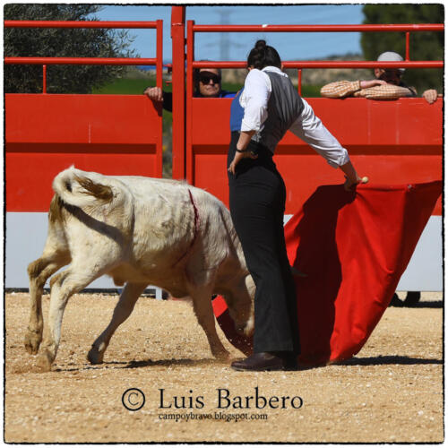 Gabriela Mayor Toros Guerrero Luis Barbero (33)