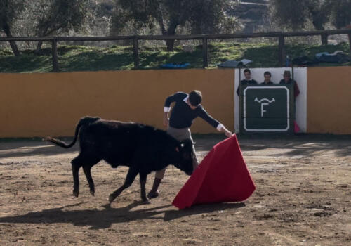 IMG_9259
