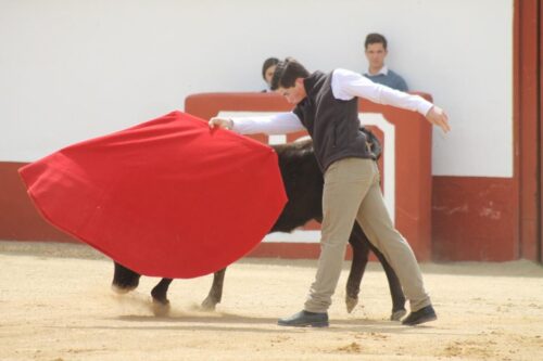 LEO DE PECHO