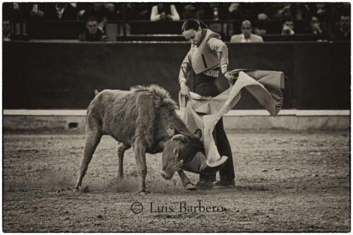 Luis Barbero Gabriela-mayor (11)