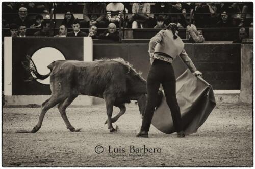 Luis Barbero Gabriela-mayor (14)