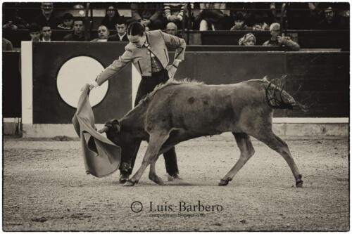 Luis Barbero Gabriela-mayor (15)