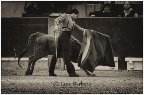 Luis Barbero Gabriela-mayor (16)