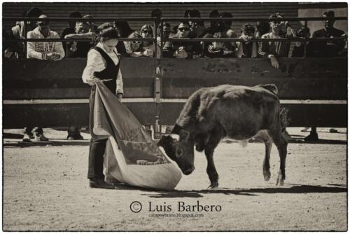 Luis Barbero Gabriela-mayor (20)