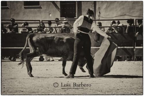 Luis Barbero Gabriela-mayor (24)