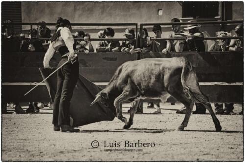 Luis Barbero Gabriela-mayor (25)