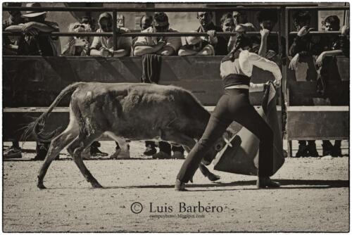 Luis Barbero Gabriela-mayor (28)