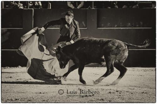 Luis Barbero Gabriela-mayor (3)