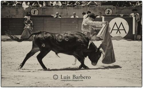 Luis Barbero Gabriela-mayor (31)
