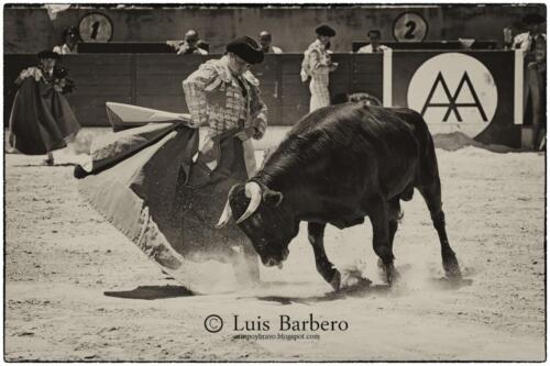 Luis Barbero Gabriela-mayor (32)