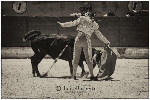 Luis Barbero Gabriela-mayor (35)