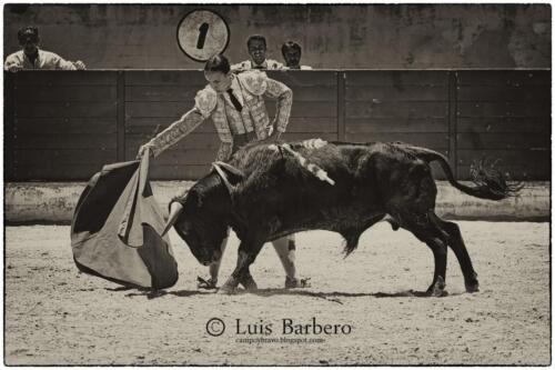 Luis Barbero Gabriela-mayor (36)