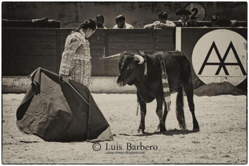 Luis Barbero Gabriela-mayor (37)
