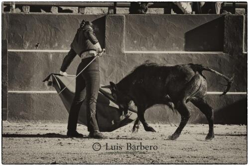 Luis Barbero Gabriela-mayor (4)