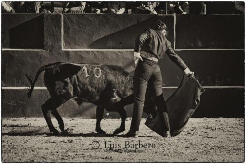 Luis Barbero Gabriela-mayor (7)