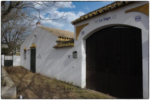 Luis Barbero Saltillo (17)