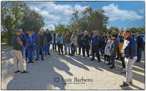 Luis Barbero Saltillo (3)
