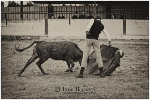 Luis Barbero angel-alarcon (10)