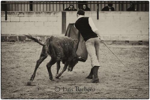 Luis Barbero angel-alarcon (13)
