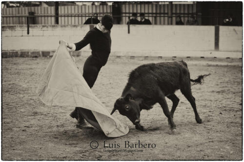 Luis Barbero asier abadiano (1)
