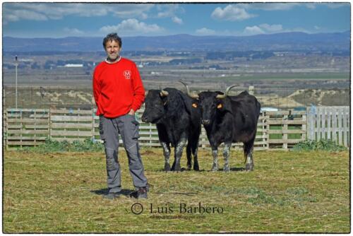 Luis Barbero-los-ripamales (1)