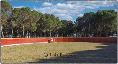 Luis Barbero-los-ripamales (15)