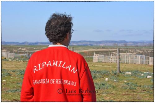 Luis Barbero-los-ripamales (32)