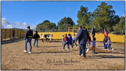 Luis Barbero - toros-de-guerrero (17)