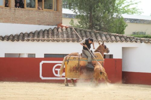 PICADOR