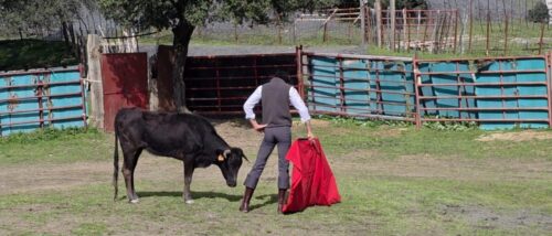 PORFIANDO