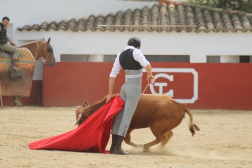 TONI RECORTE