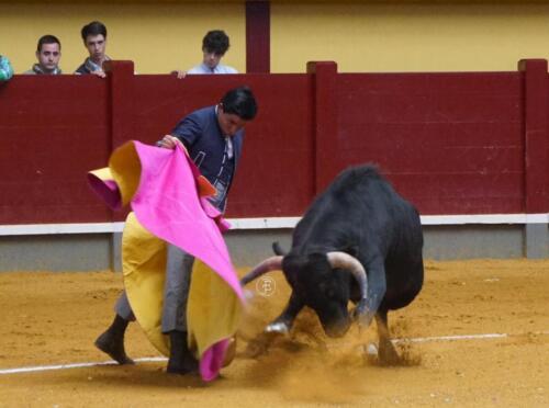 alba-de-tormes-novillada-2