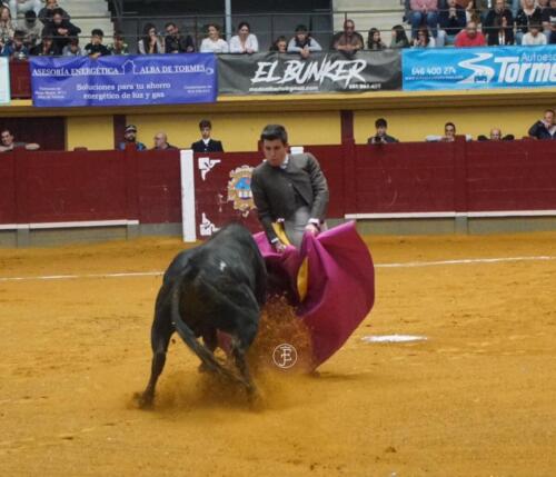 alba-de-tormes-novillada-7