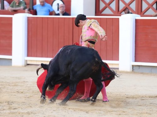 albacete (13)